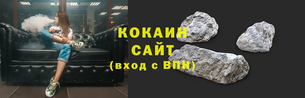 СК Бронницы