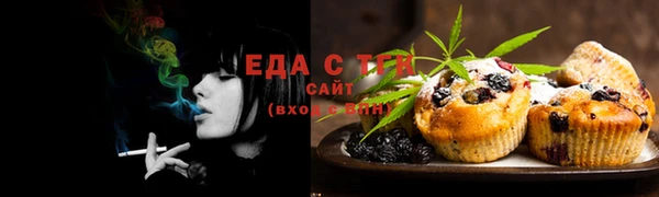 СК Бронницы