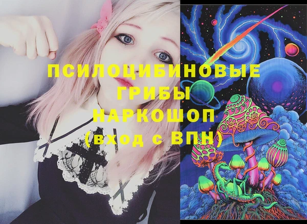 крисы Бугульма