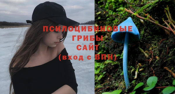 крисы Бугульма