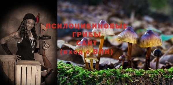 ПСИЛОЦИБИНОВЫЕ ГРИБЫ Бородино