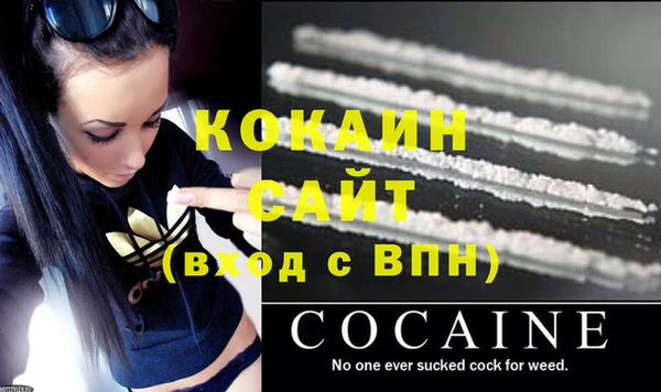 ПСИЛОЦИБИНОВЫЕ ГРИБЫ Бородино