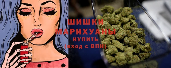 ПСИЛОЦИБИНОВЫЕ ГРИБЫ Бородино