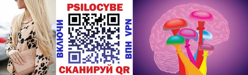 Псилоцибиновые грибы Psilocybe  Щучье 